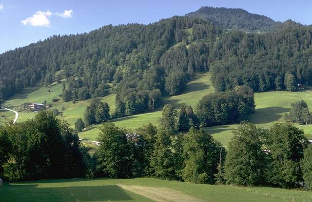 Natural Wallpaper Celebrity Rehab