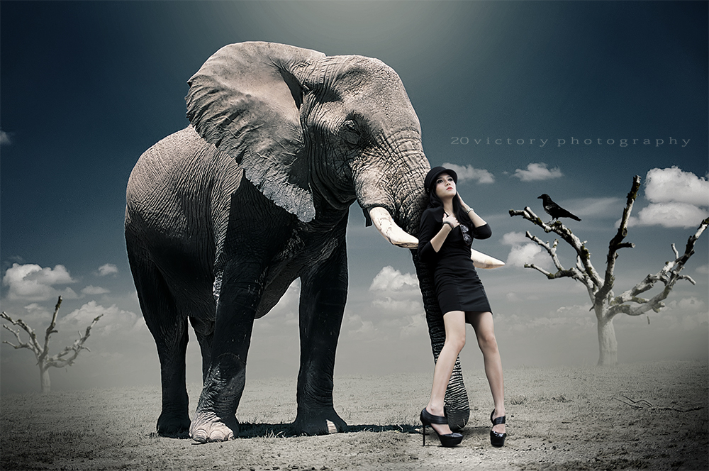 20Victory photography Digital Imaging