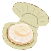 帆立貝のイラスト