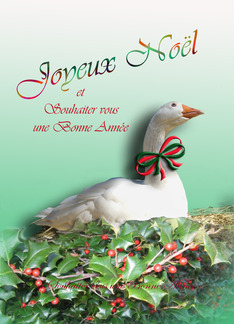 Christmas noel joyeux french card merry cards silver greeting golden greetings istockphoto Silk Smitha Death: Simple French Merry Christmas Year 2011 Joyeux Noel