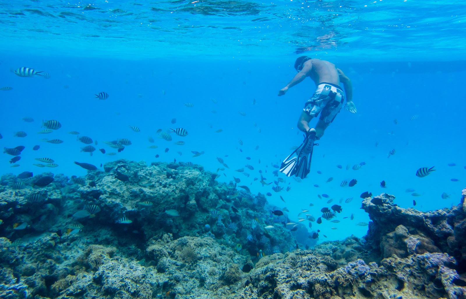 Aquarium Snorkeling Location @ Bora Bora, Tahiti
