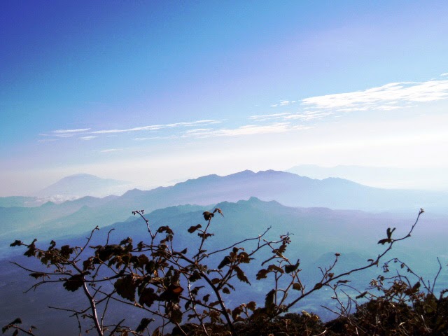 View dari Gunung Cikuray