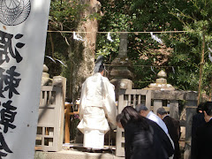 ��������O��