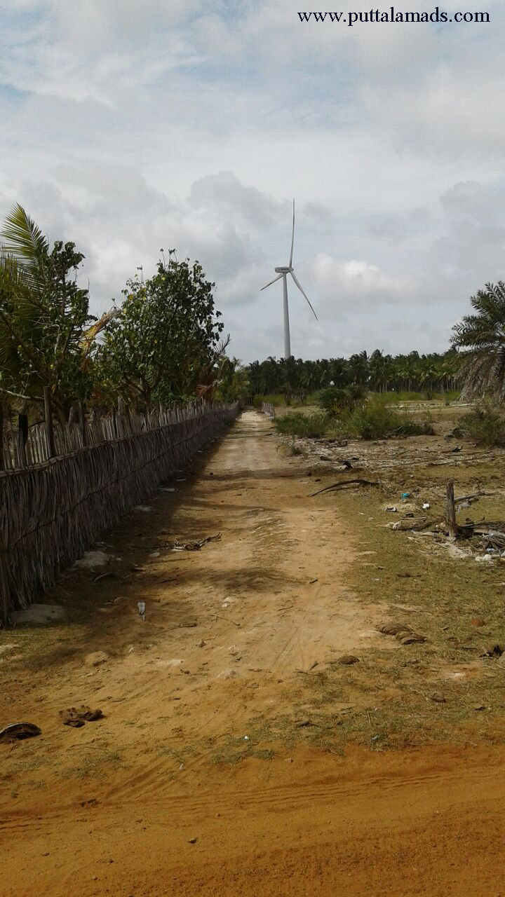 40 Perch Tourism Land in Kalpitiya Real Estate and Land Brokers in