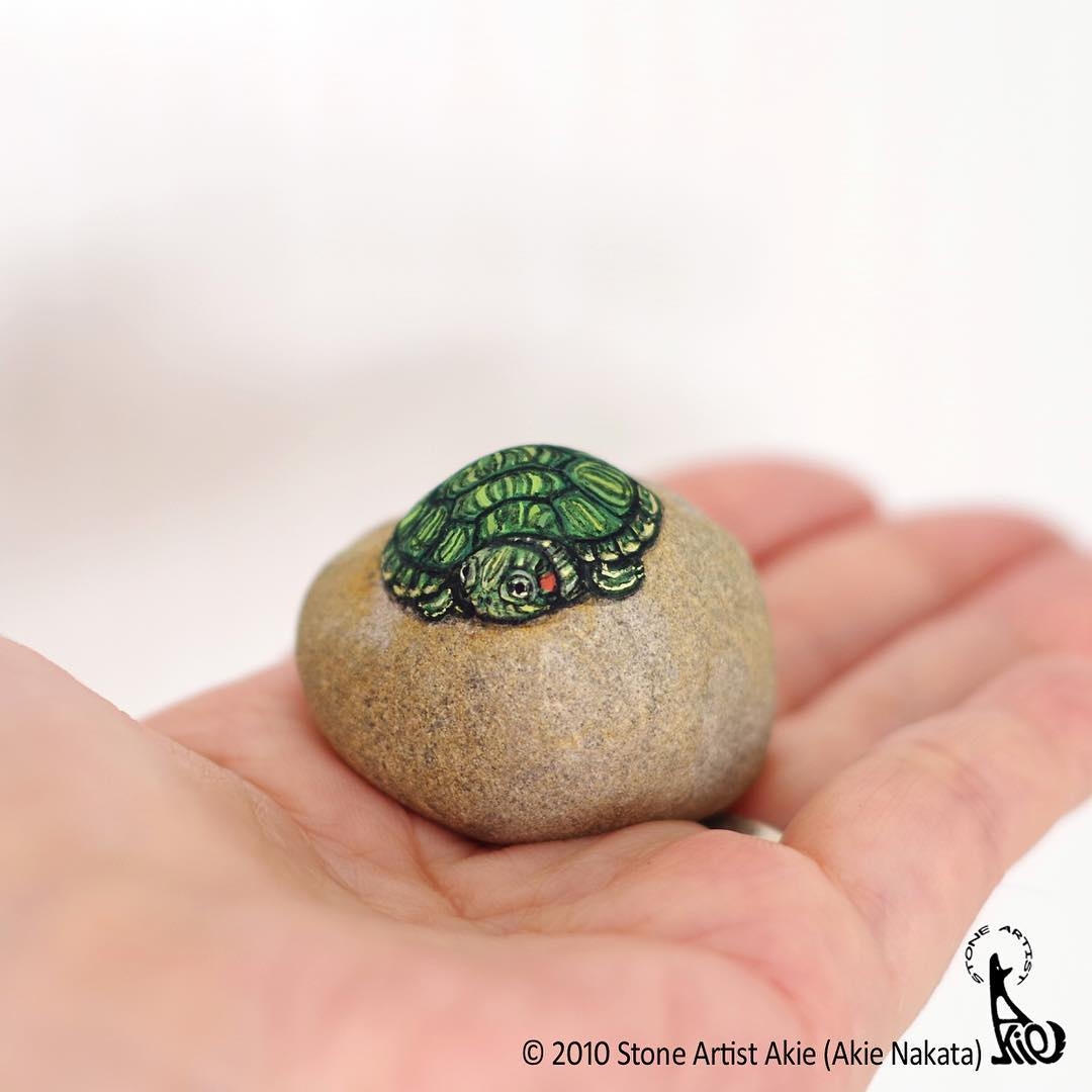 16-Red-Eared-Slider-Baby-Terrapin-Akie-Nakata-Natural-Shape-Stone-Animal-Paintings-www-designstack-co