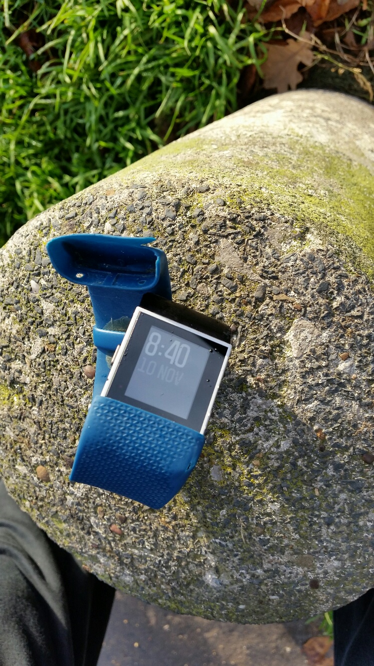 Postcard from Timperley Fitbit Dead