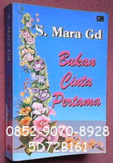 Novel Novel