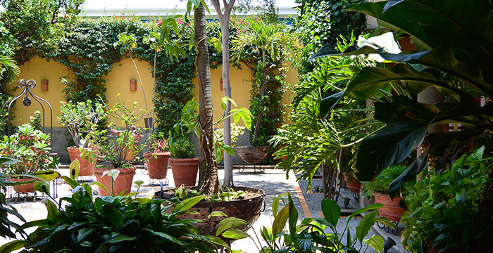 Hotel La Casa De Los Patios Hotel Spa En Sayula Jalisco Oficial