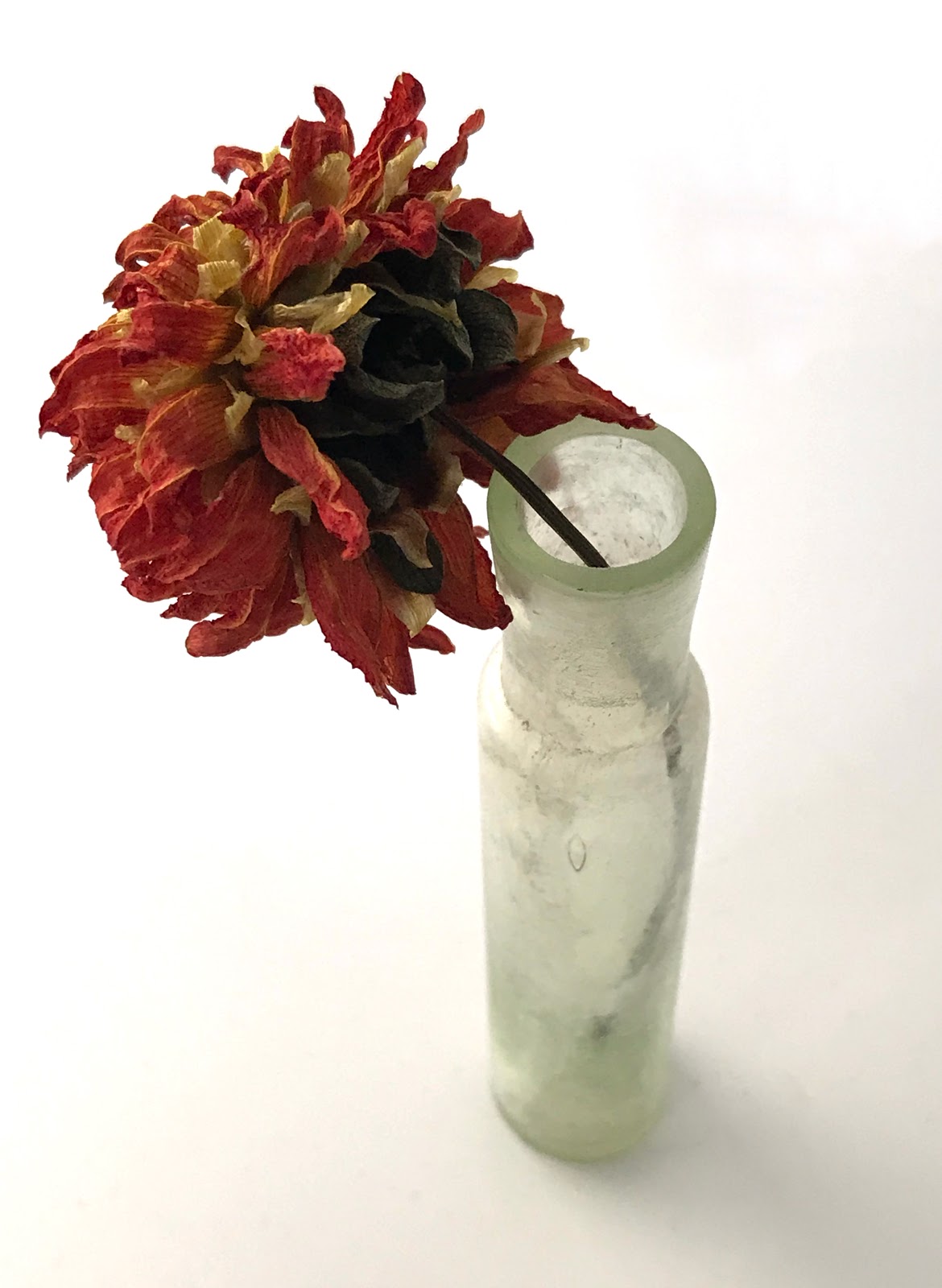 Something Flowers do not die they more beautiful