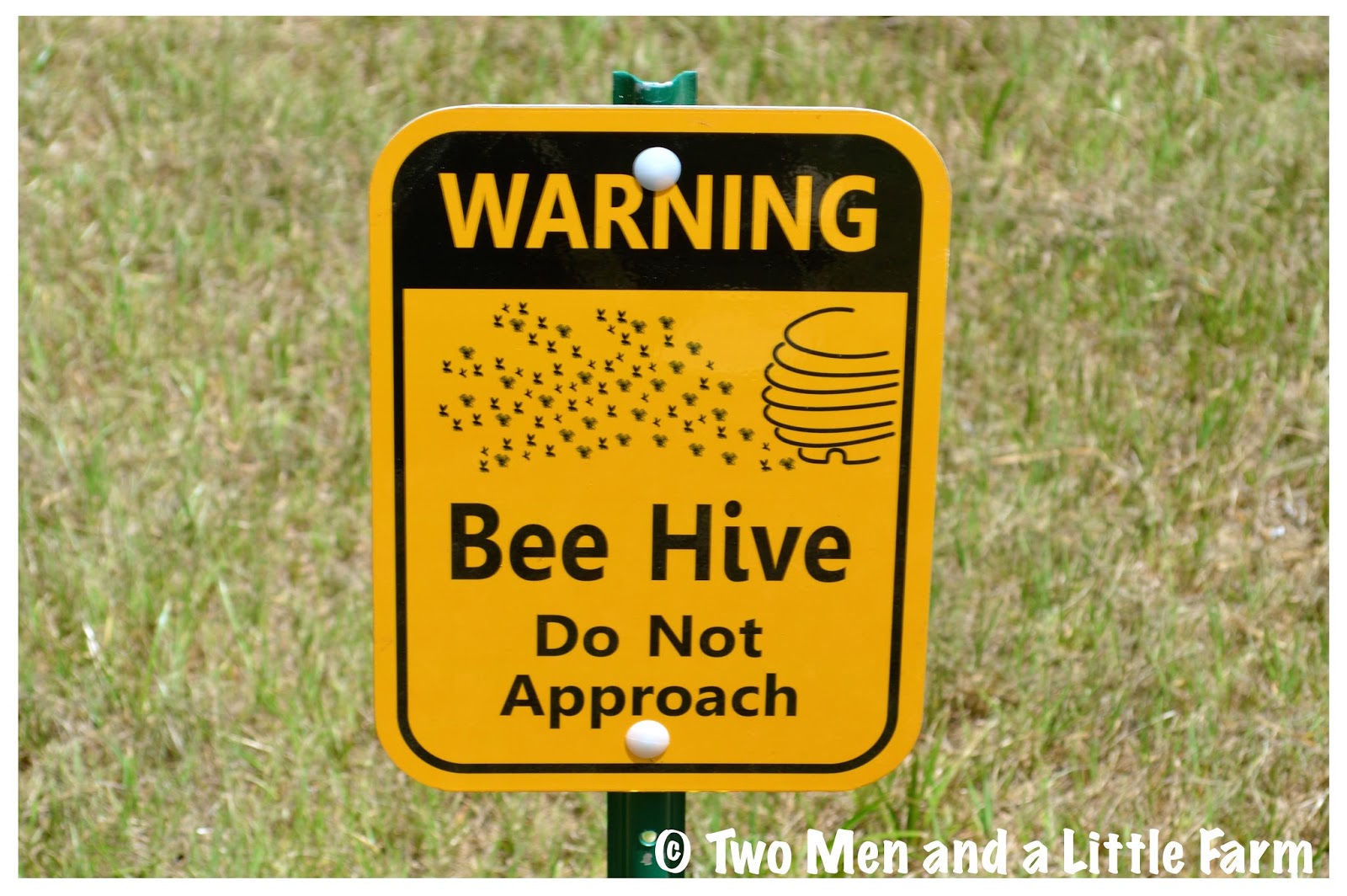 Two Men and a Little Farm BEEHIVE WARNING SIGN