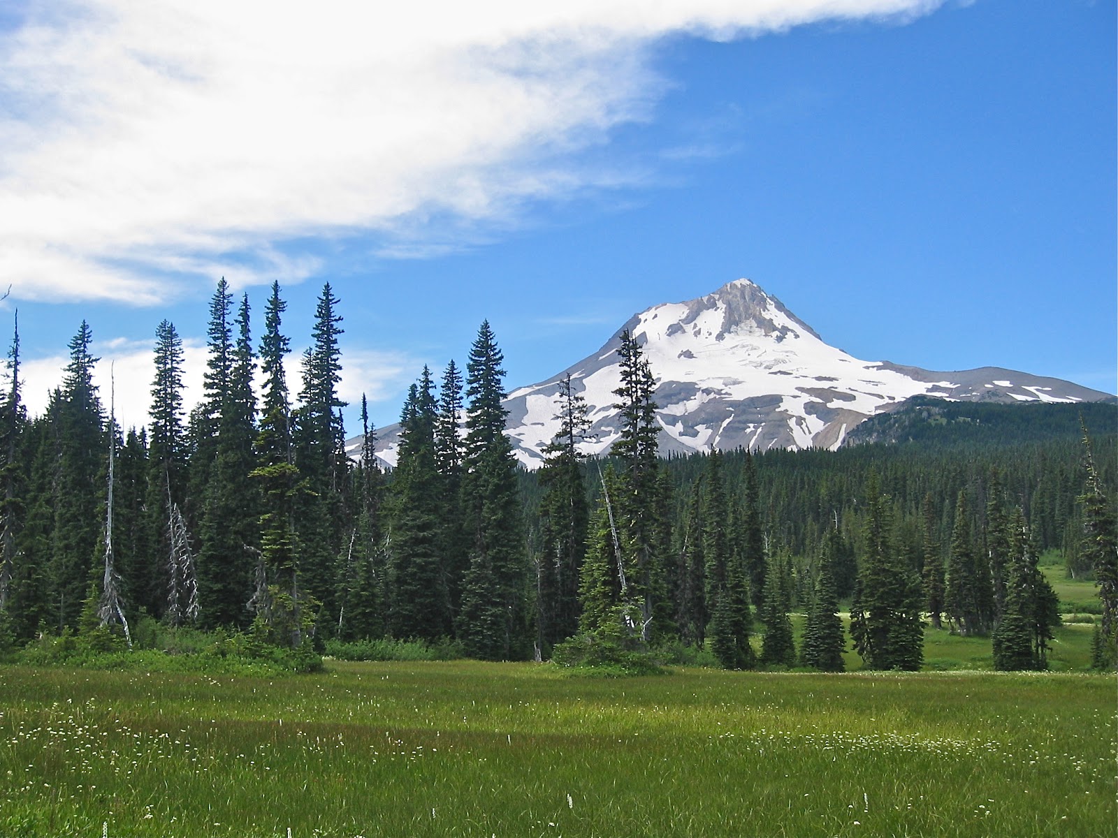 Venture Out A Perfect Hike Elk Meadows, Mt. Hood OR