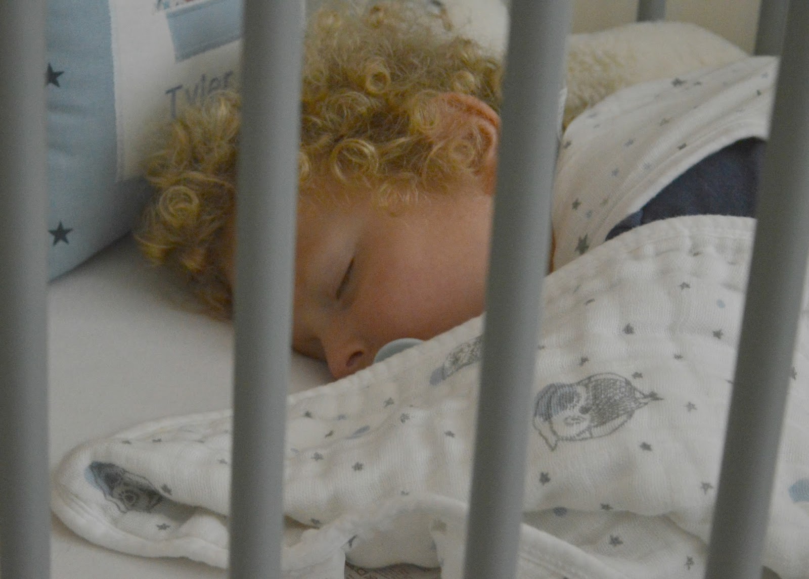 aden + anais Night Sky Starburst Cozy Plus Sleeping Bag & Night Sky