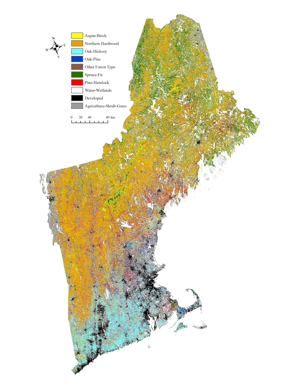 Forest types of New England