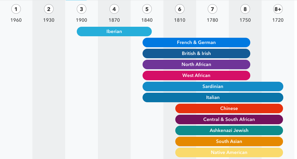 genealogy under construction a