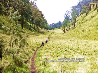 Misteri Gunung Lawu dan Sumpah Brawijaya V