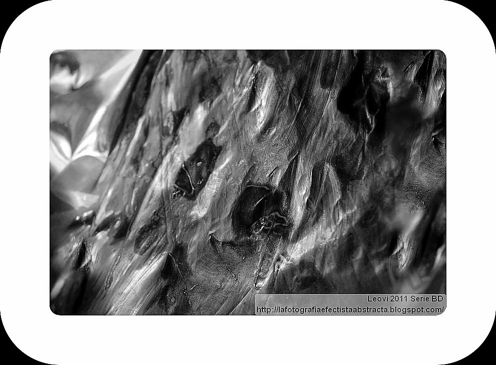 Foto Abstracta 3088 Pétalos de primavera corroída - Petals of corroded spring Foto Abstracta 3088 Pétalos de primavera corroída - Petals of corroded spring