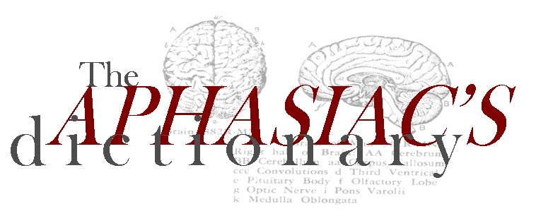 The Aphasiac's Dictionary