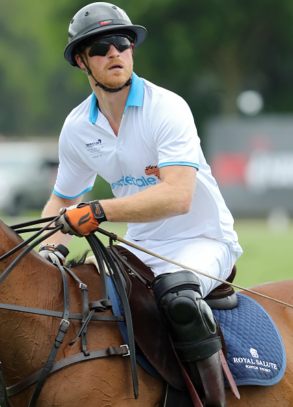 Royal Family Around the World: Sentebale Royal Salute Polo Cup In Palm ...