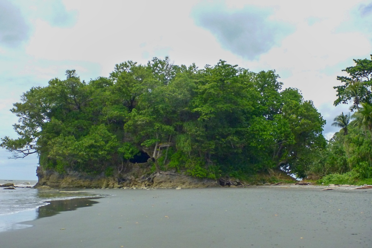 Queensland Coast When the Great Barrier Reef was a land of hills and trees