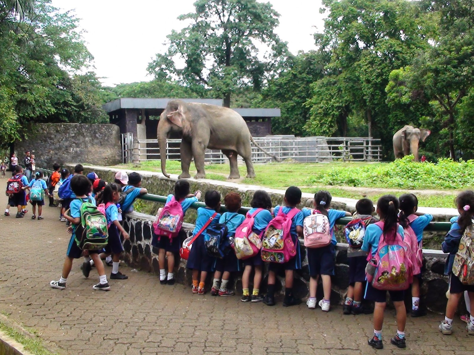 Manfaat Berwisata Ke Kebun Binatang Bagi Anak Psikologika