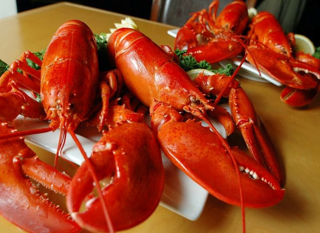 Main Live Lobster Export Data for Global Market Live Lobster Exporter