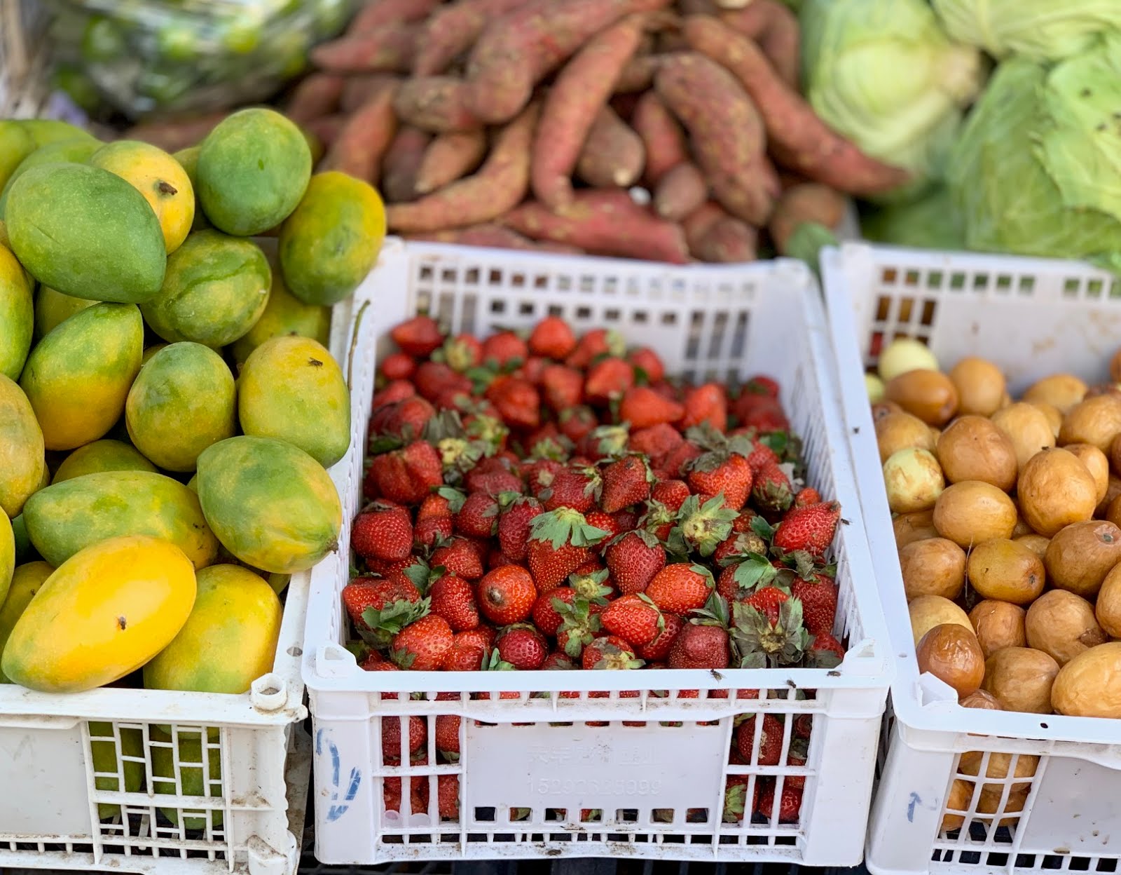 Fior Di Latte Eiscreme Mit Karamellisiertem Speck Und Gesalzenem