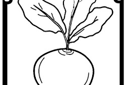 25 Mewarnai Gambar Ketela Pohon Terbaru Kumpulan Gambar Mewarnai