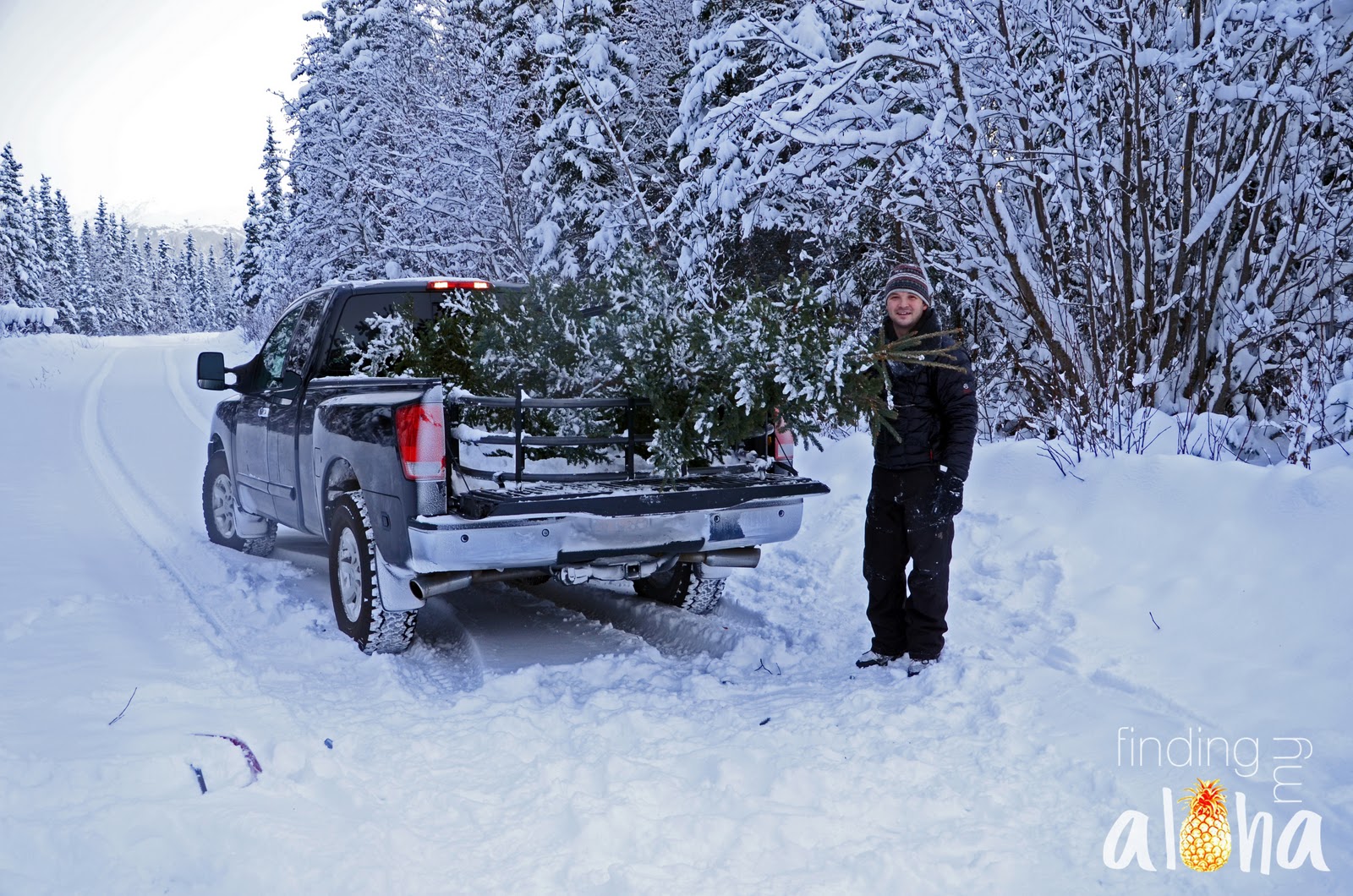 Finding My Aloha Christmas Tree Cutting 2011