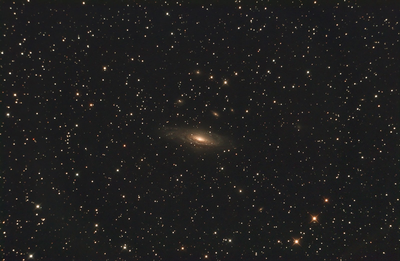 Astrofotografia digitale ...Jach Blak: NGC 7331
