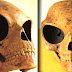 Extraña calavera hallada en Dinamarca ¿Evidencia de un extraterrestre?