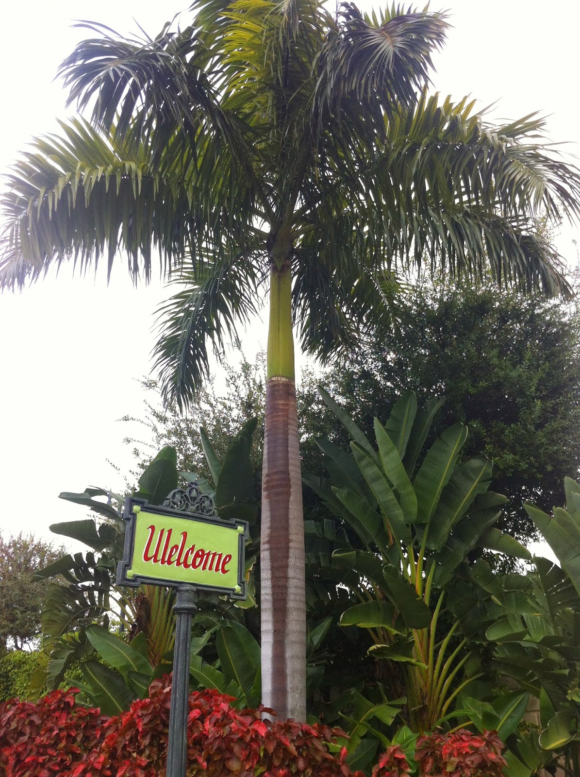 séjour à Miami