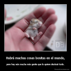 todo frases tipo bonitas ocasion mensajes toda imagen imagenes mas cosas habla mil pero lo muchas