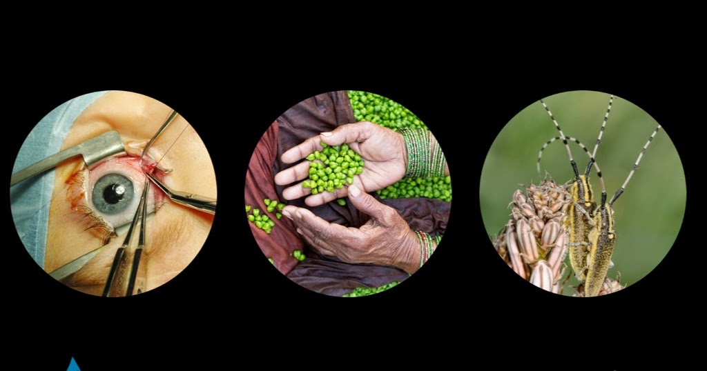 How to crop images with circles in Keynote