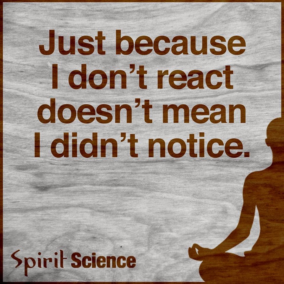 Just because I don't react doesn't mean i didn't notice Spirit Science Quotes