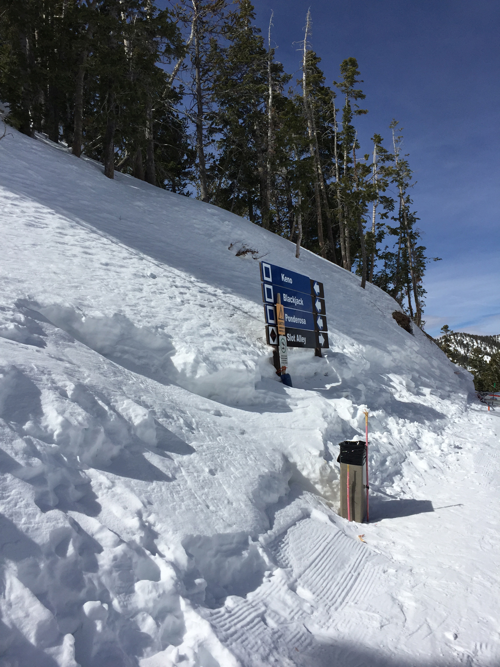 Lasketteluloma Las Vegasissa 8 Lasketteluloma Las Vegasissa 7