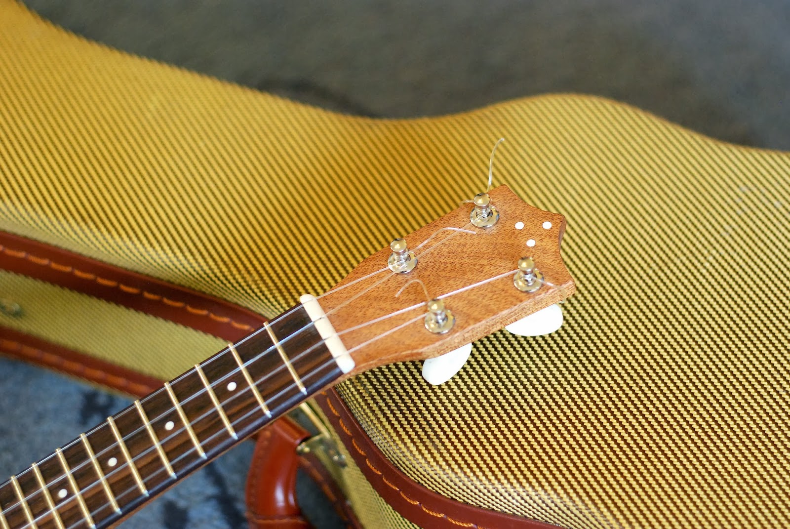 The Importance of Ukulele Nut Width Beginners Tips