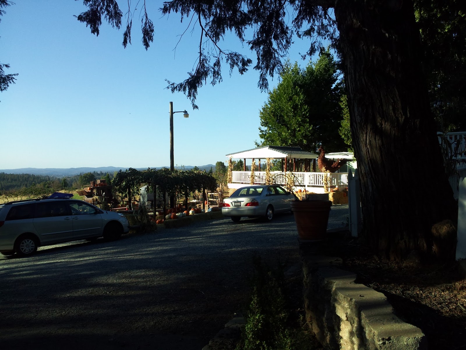 TeachingCurve: Apple Hill 2015, fall destination in No. CA for apples ...