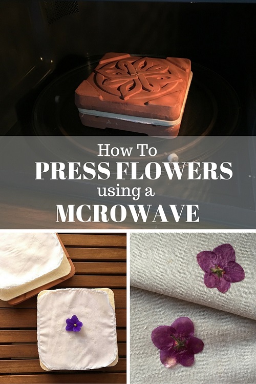How To Press Flowers in The Microwave - Studio DIY
