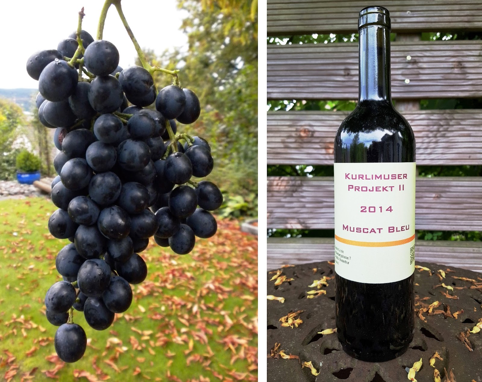 Kurlimuser Was ist denn Kurlimuser?