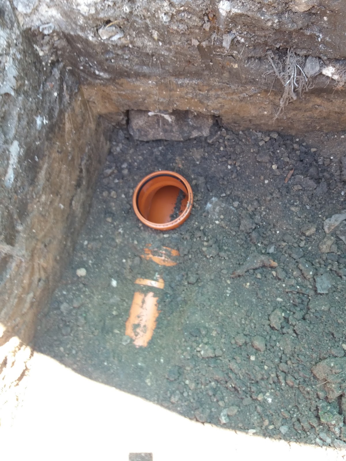 Bransari apa raja constanta.