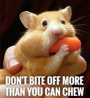 Control Your Food Intake for Fitness Success Control Your Food Intake for Fitness Success