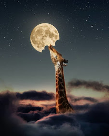 02-Reach-for-the-moon-Natacha-Einat-Photos-of-Our-Word-in-Surrealism-www-designstack-co