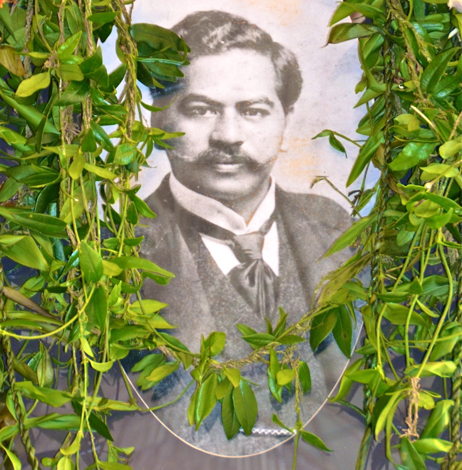 Prince Kuhio Movies - wwj4v3l