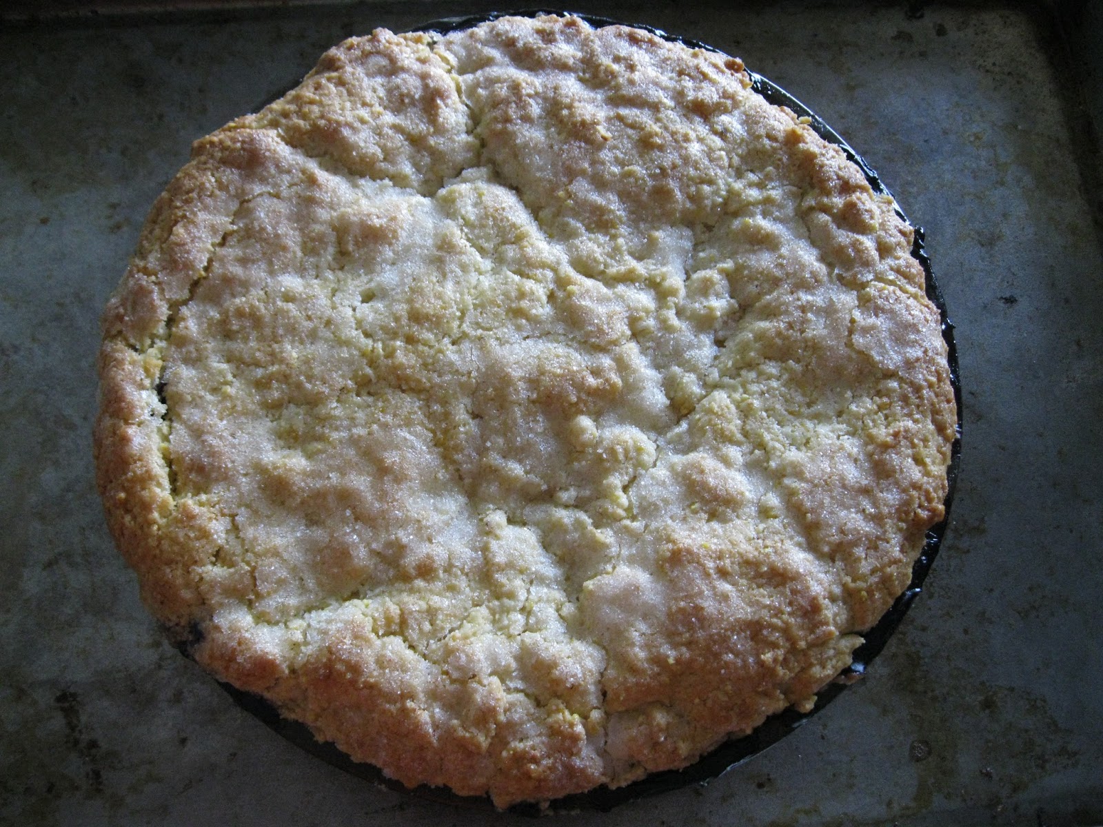 Spooning the Dish The Blueberry Crow's Nest when the crust flies south
