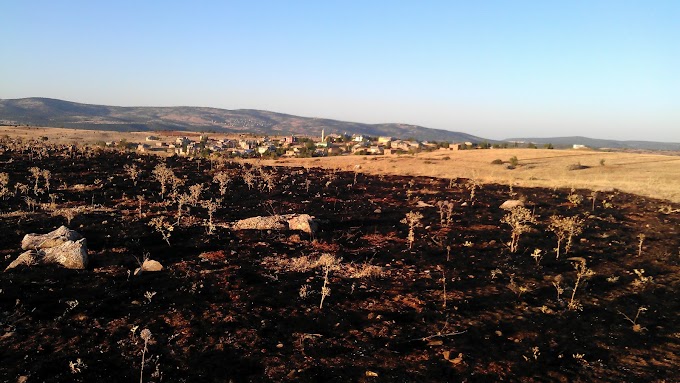 Karacaardıç Köyünde Tutuşan Otlar Yangın Çıkardı