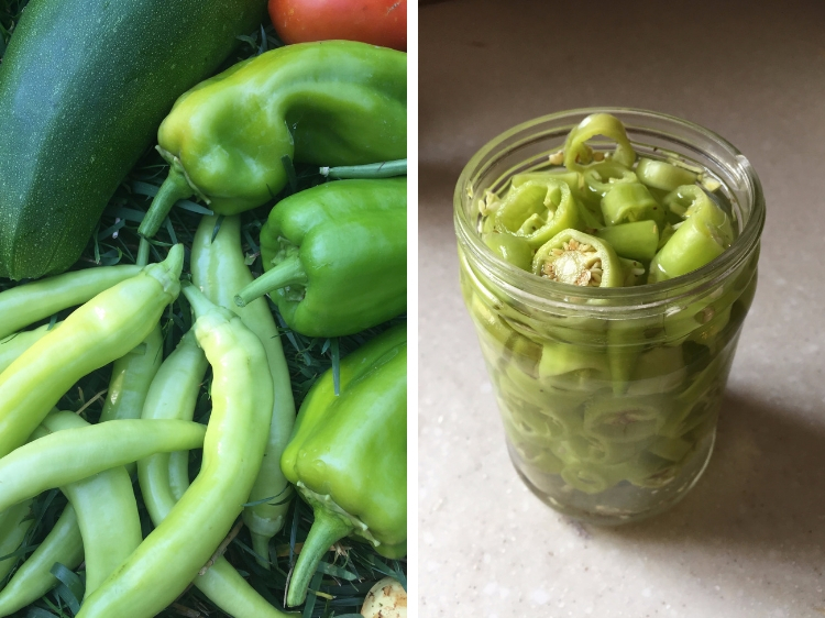 Preserving Peppers // How to Grow Peppers // www.thejoyblog.net