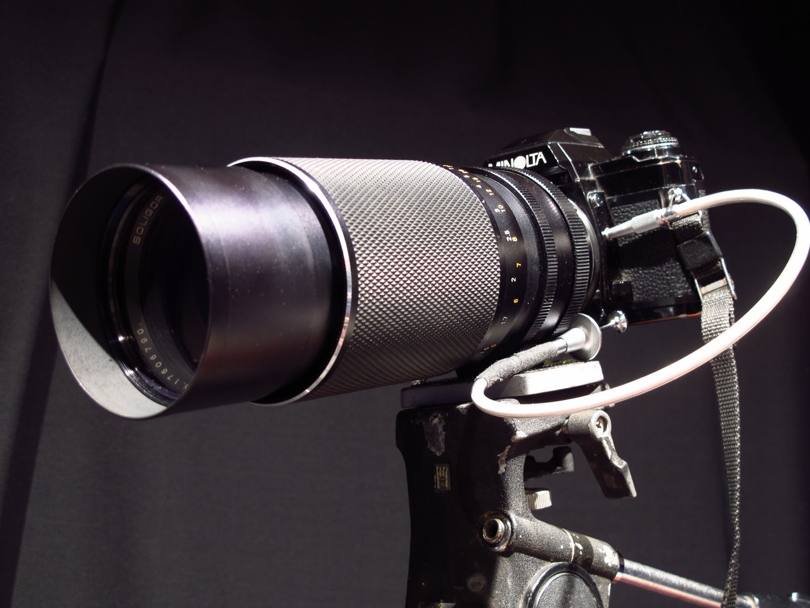 Taking Pictures 101 Film or Analog Macro Photography