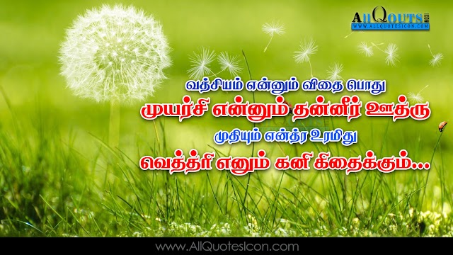 Best Tamil Life Inspiration Quotations Images Beautiful Life Motivational Messages Online Tamil Kavithaigal Top Life Quotes in Tamil Pictures