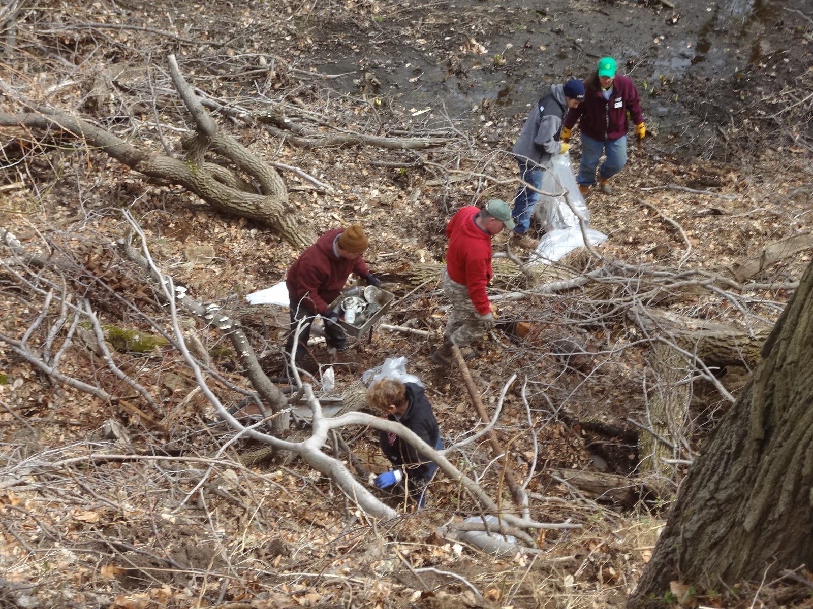 Navesink Swimming River Group