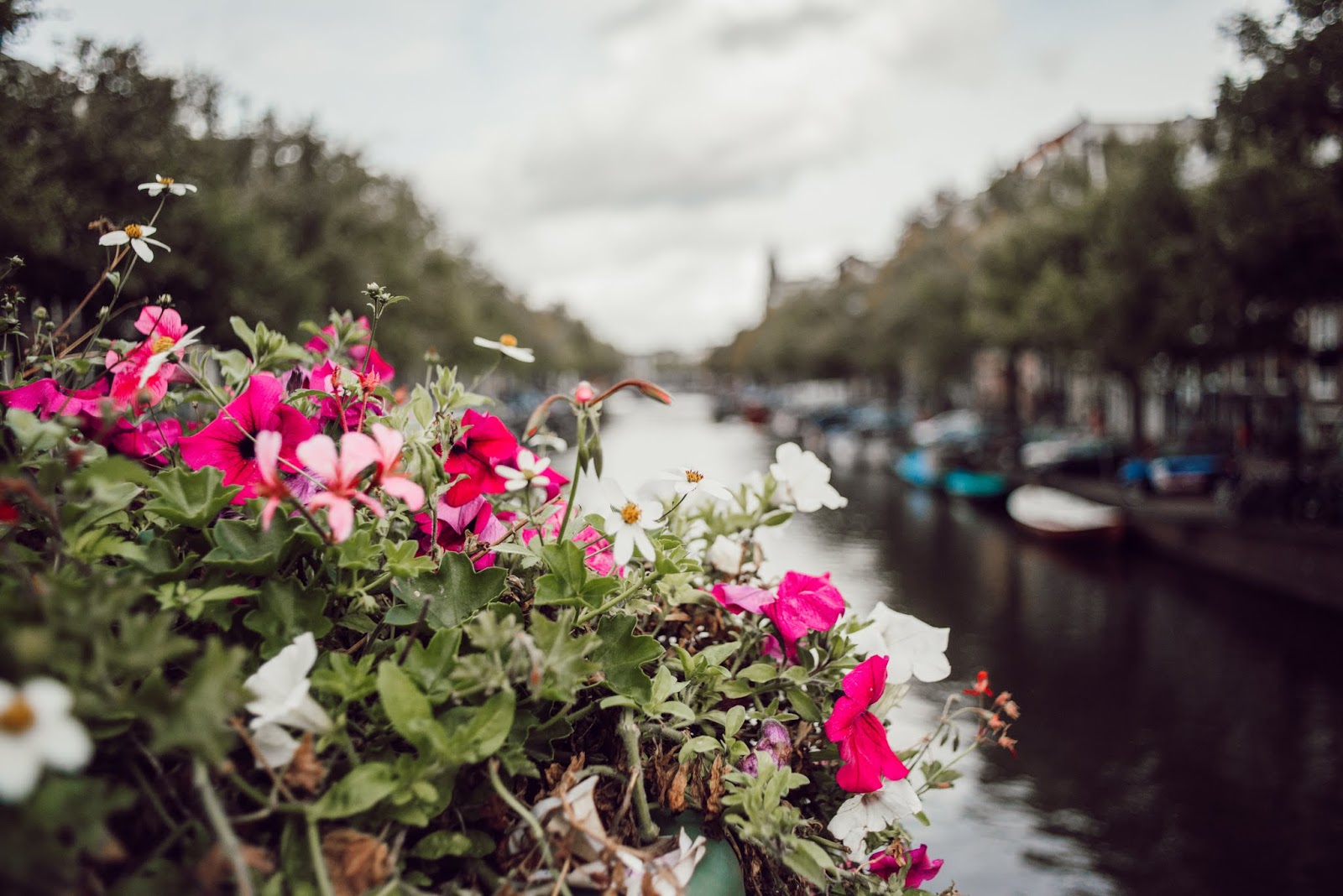 Kind Skies Hail From Lexington Kentucky And You Will Want To Hear